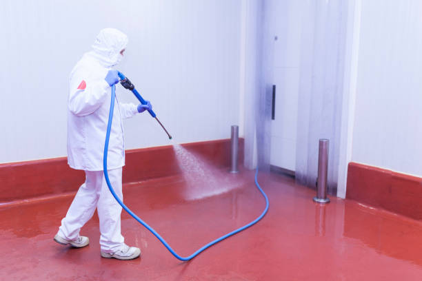 Best Restaurant Pressure Washing  in Milliken, CO